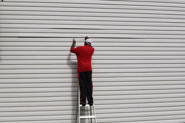 Best Hoarding Cleanup  in Pharr, TX